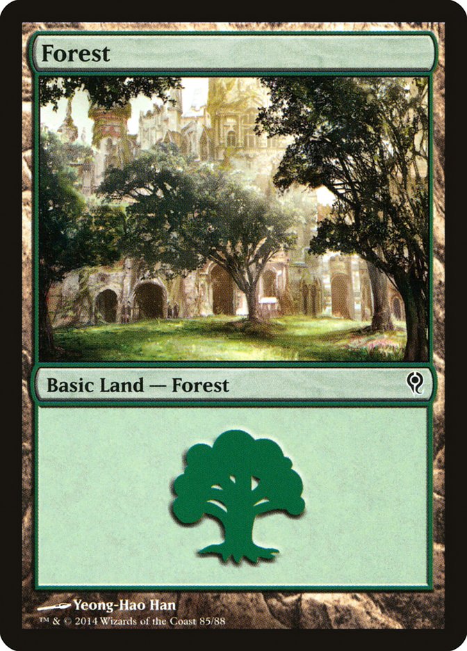 Forest (85) [Duel Decks: Jace vs. Vraska]